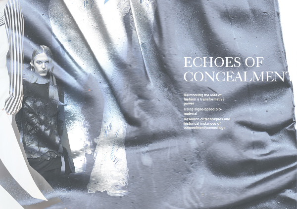 Echoes of concealment