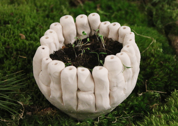 Dwelling in the dark