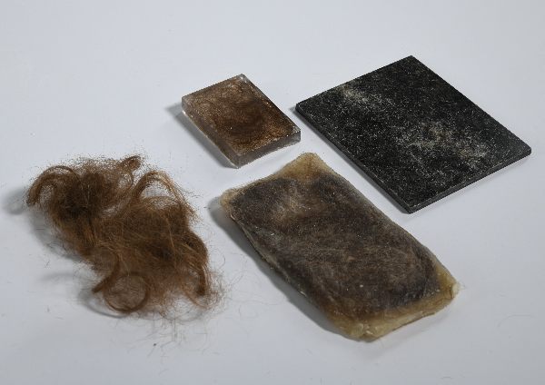 hair-volution: regeneration of chatham through human hair