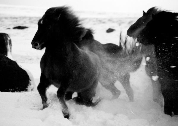 Sléttan, Yzta Annesið (The farthest north)