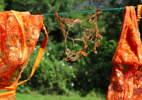 Of Lace and Living Things