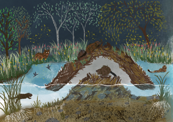 Symbiotic Landscapes