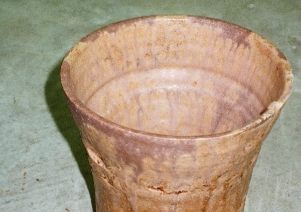 she sells sea shells