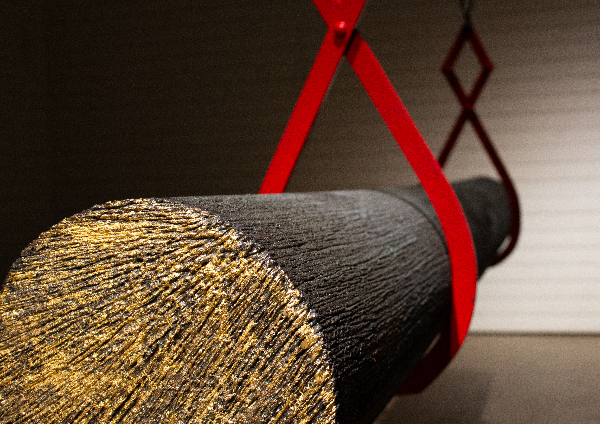 A swing in a polarised landscape