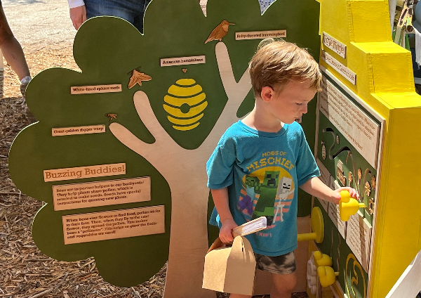 Bee Interactive Exhibit for Children