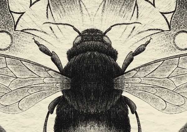 Sempiternal music campaign posters