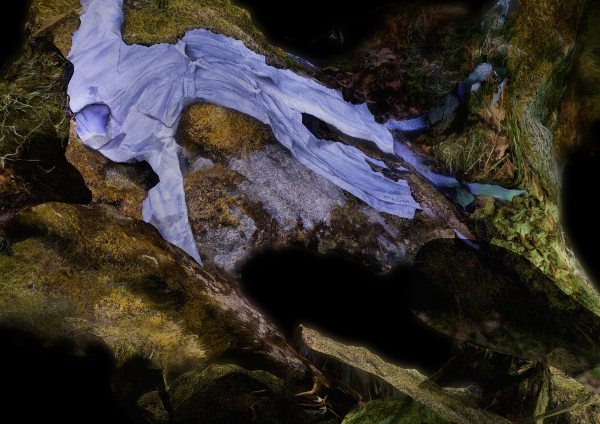 Thinking with Lichens; Attending to Trace