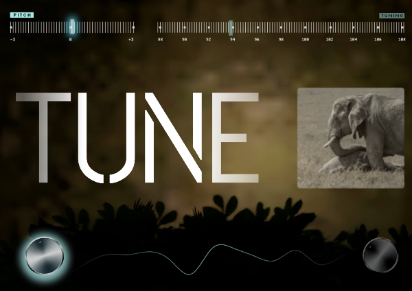 Tune