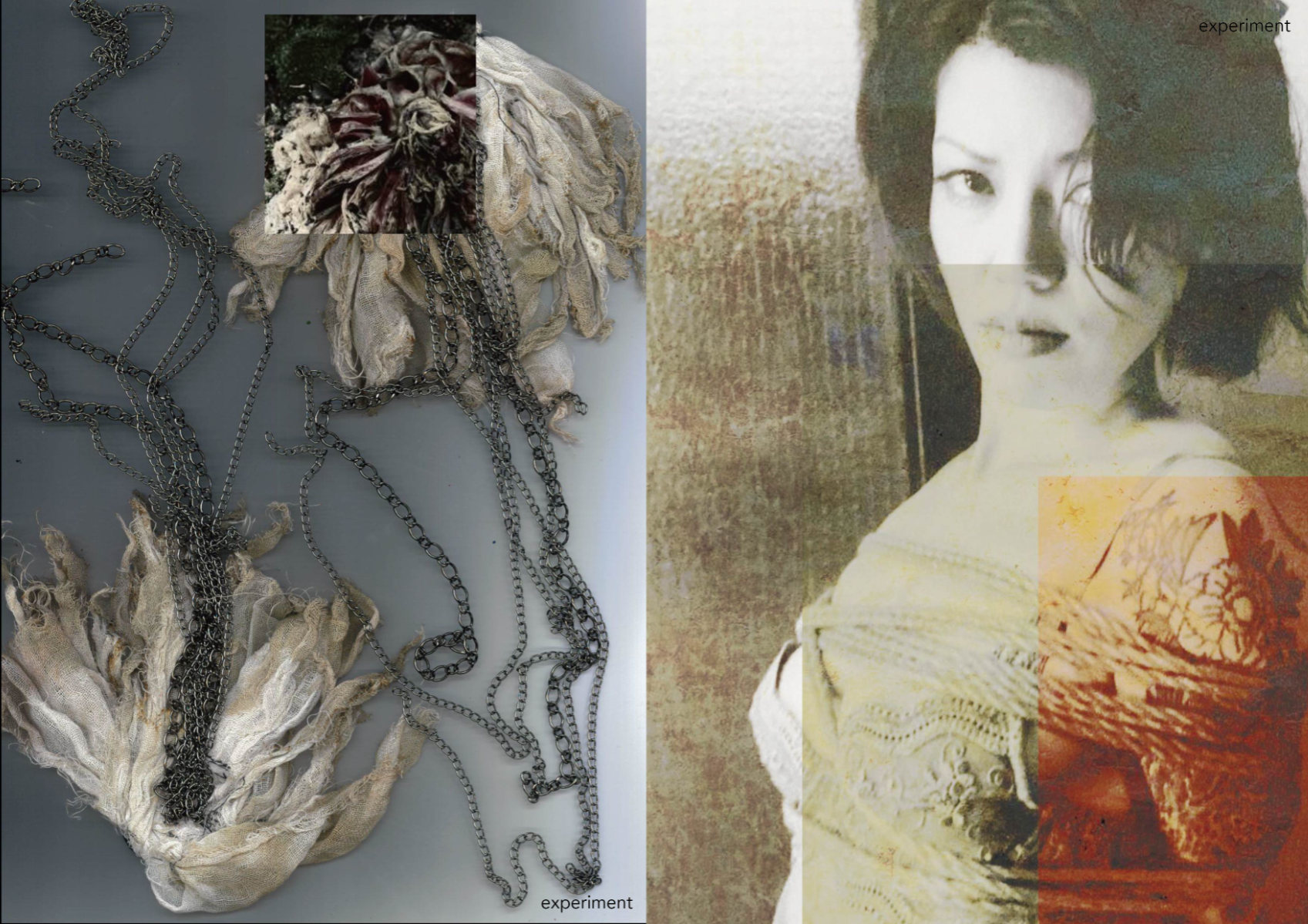 The beauty of decay, portfolio item 12