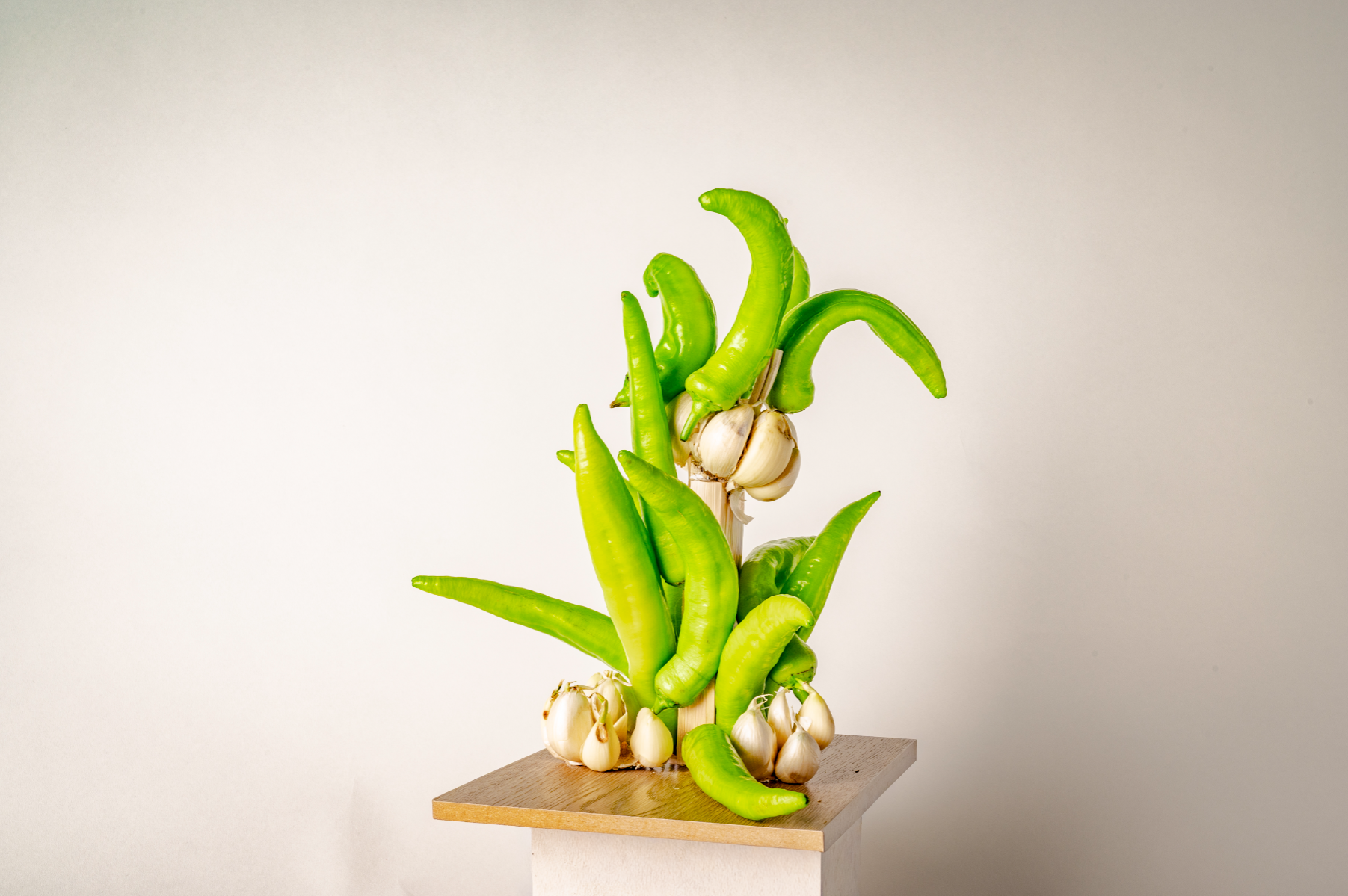 Mai'dasar: to Feast, portfolio item 14