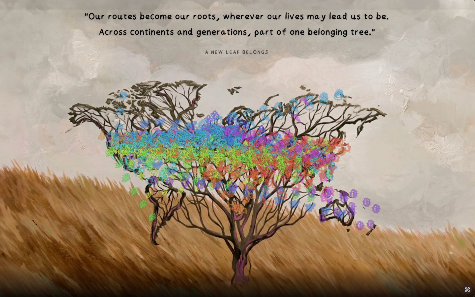 The belonging tree, portfolio item 7