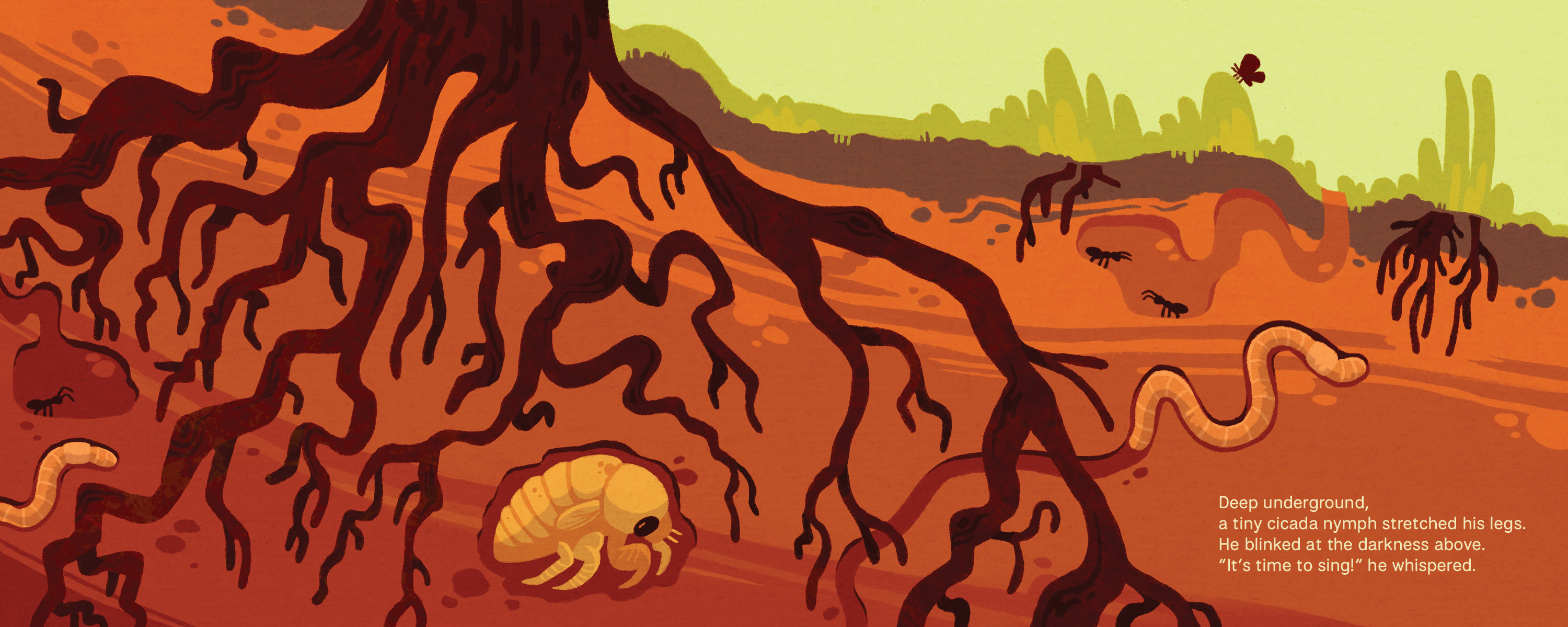 Cicada Song, portfolio item 3