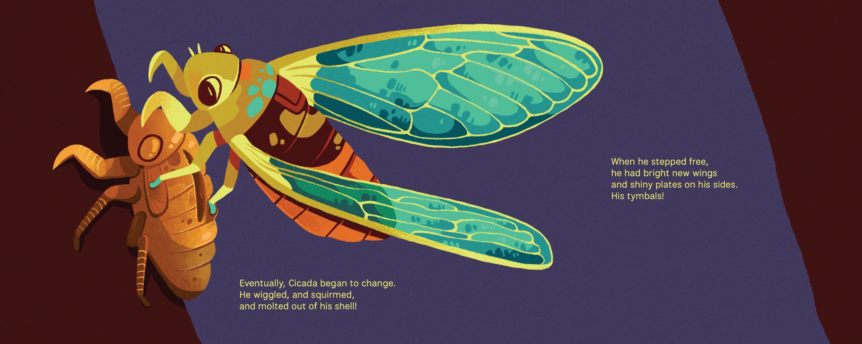Cicada Song, portfolio item 4