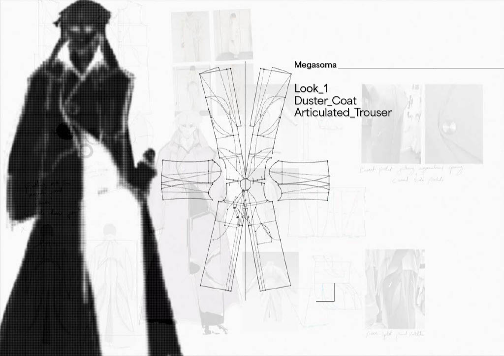 Megasoma, portfolio item 5