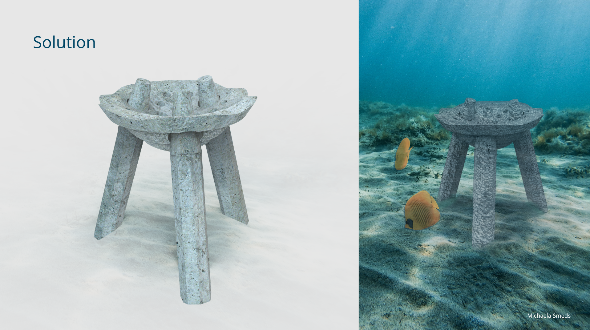 How design can help a coral reef- Designing for people, restoring for nature., portfolio item 2