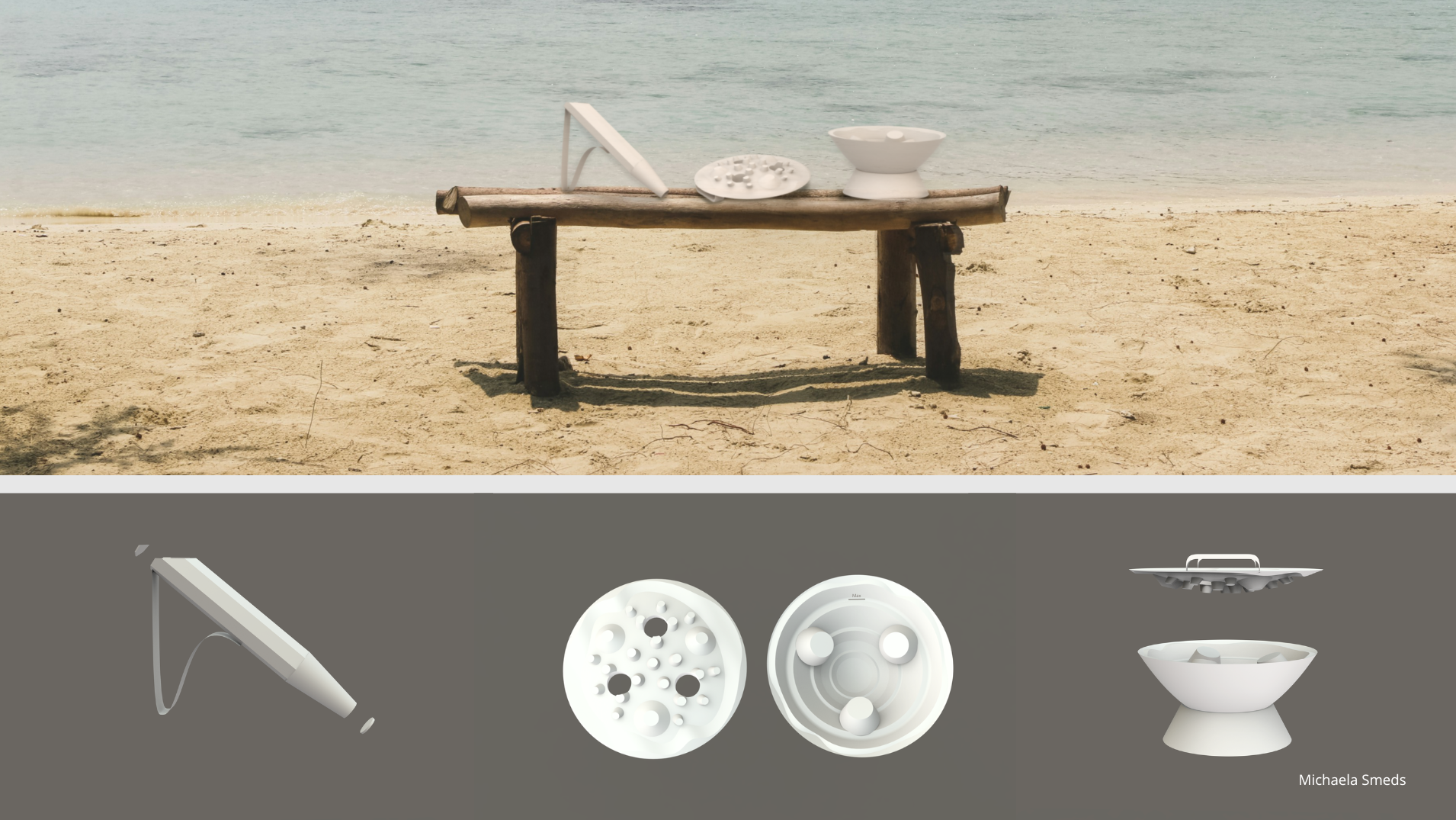 How design can help a coral reef- Designing for people, restoring for nature., portfolio item 3