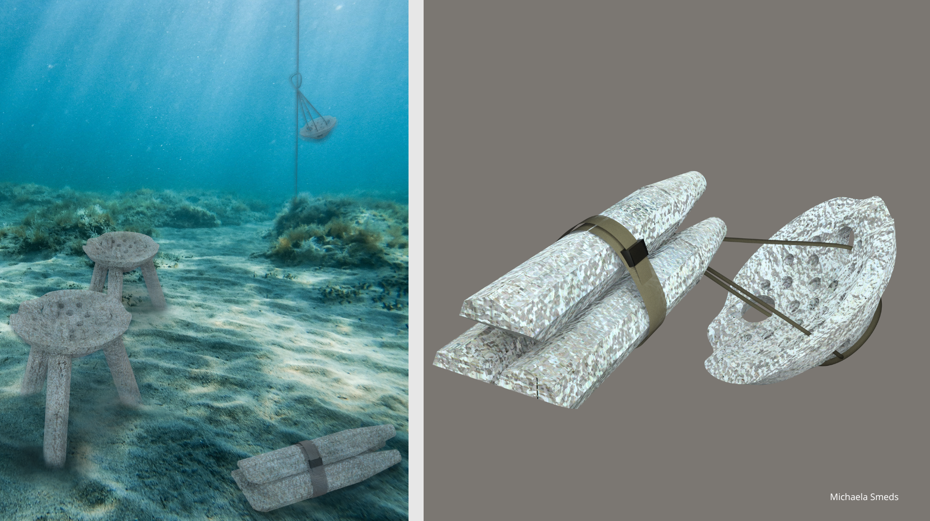 How design can help a coral reef- Designing for people, restoring for nature., portfolio item 4