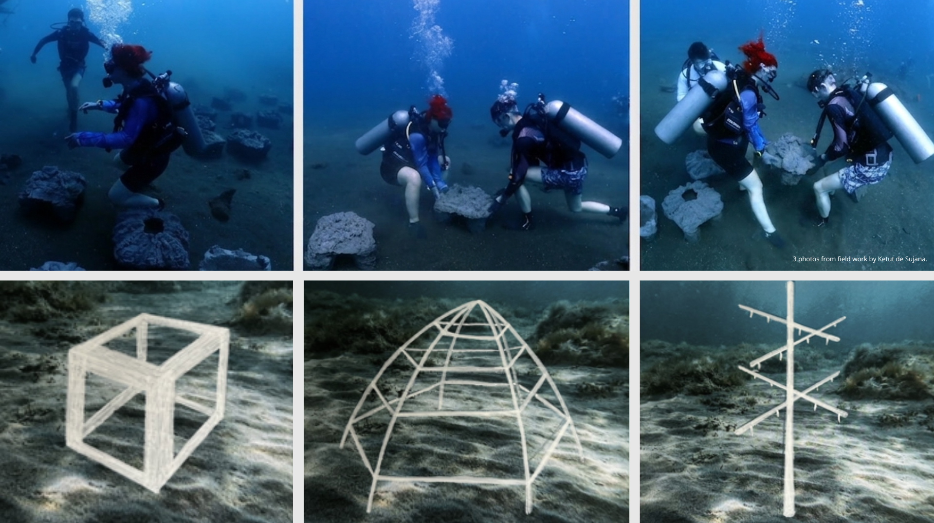 How design can help a coral reef- Designing for people, restoring for nature., portfolio item 6