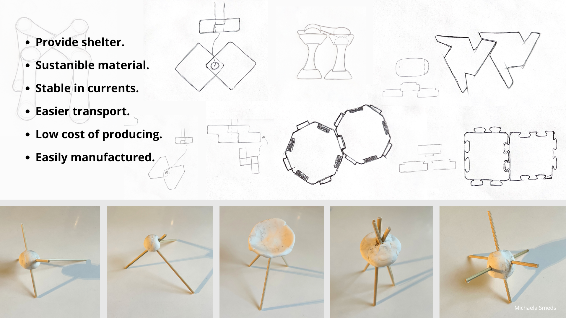 How design can help a coral reef- Designing for people, restoring for nature., portfolio item 7