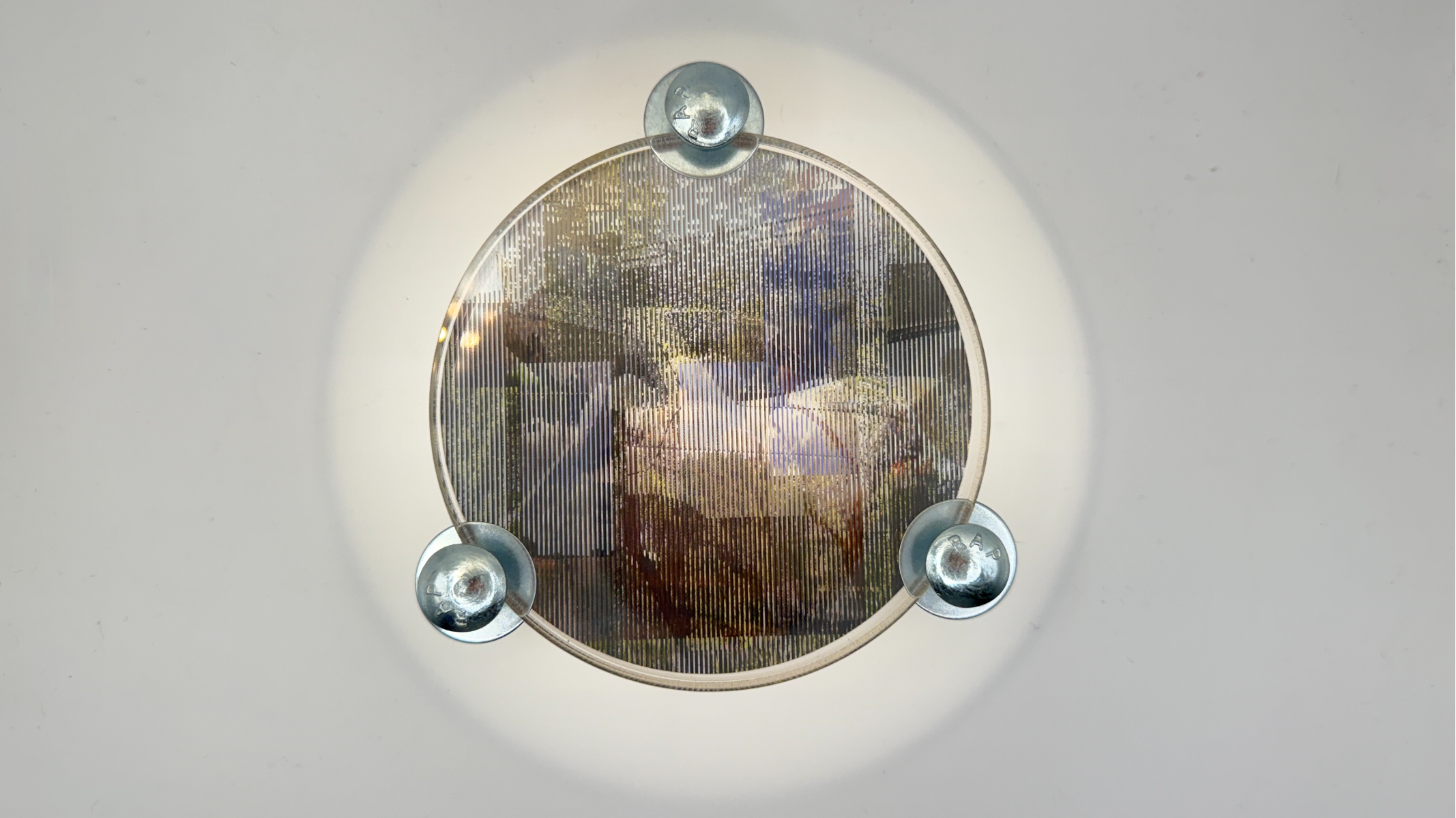 Archivo vivo, portfolio item 6