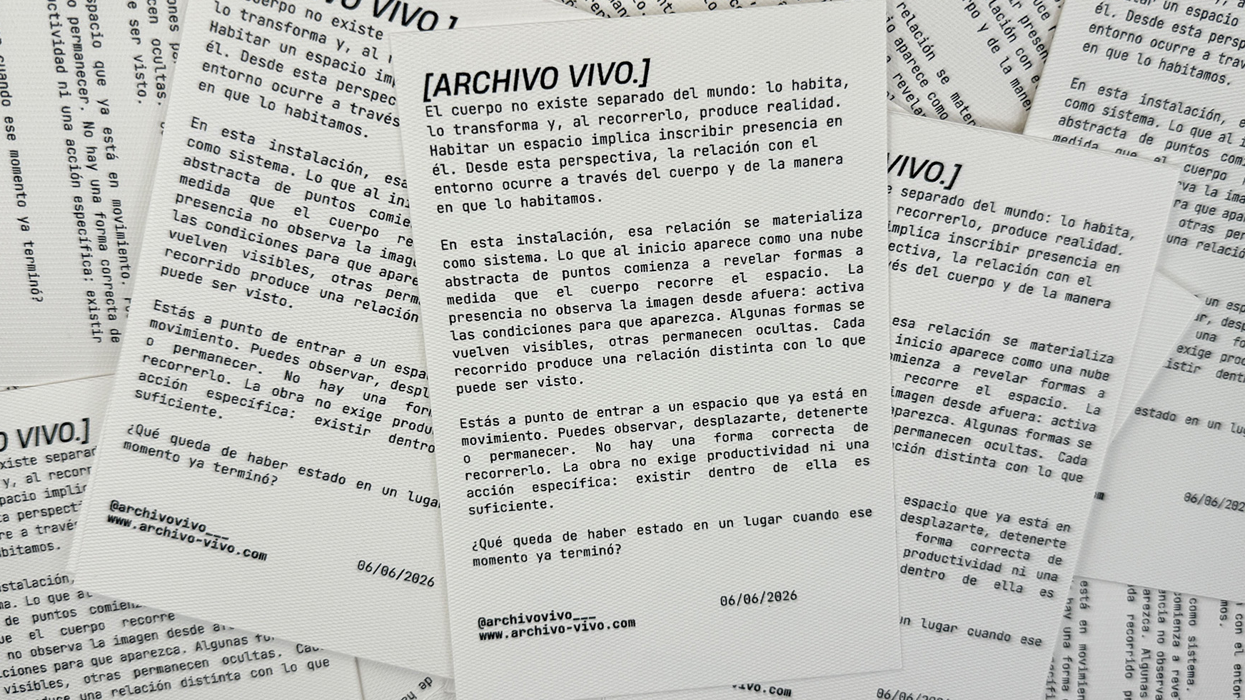 Archivo vivo, portfolio item 4
