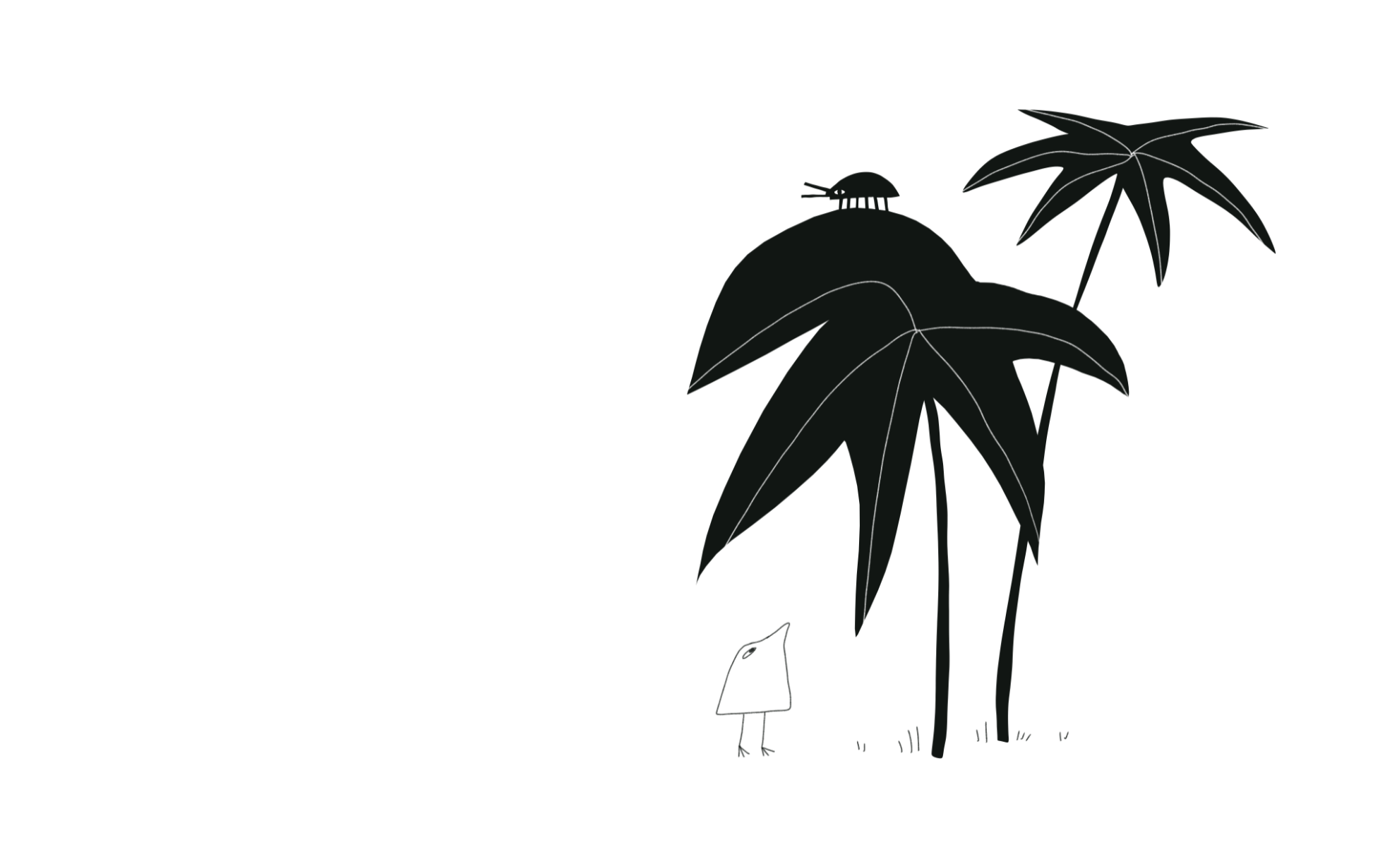 Small, portfolio item 4
