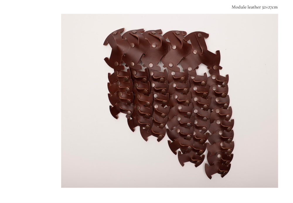 Luluism, portfolio item 12