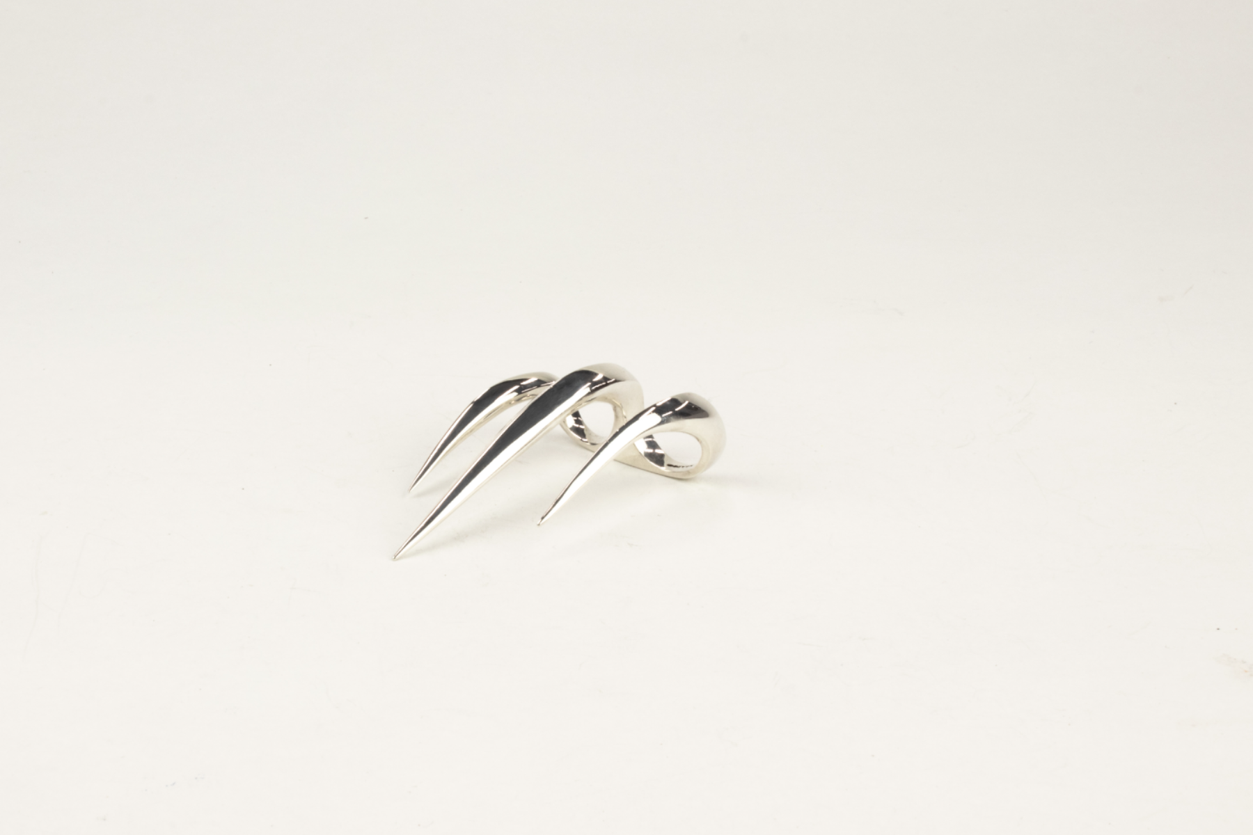 GO FASTER, BITE BETTER, portfolio item 8