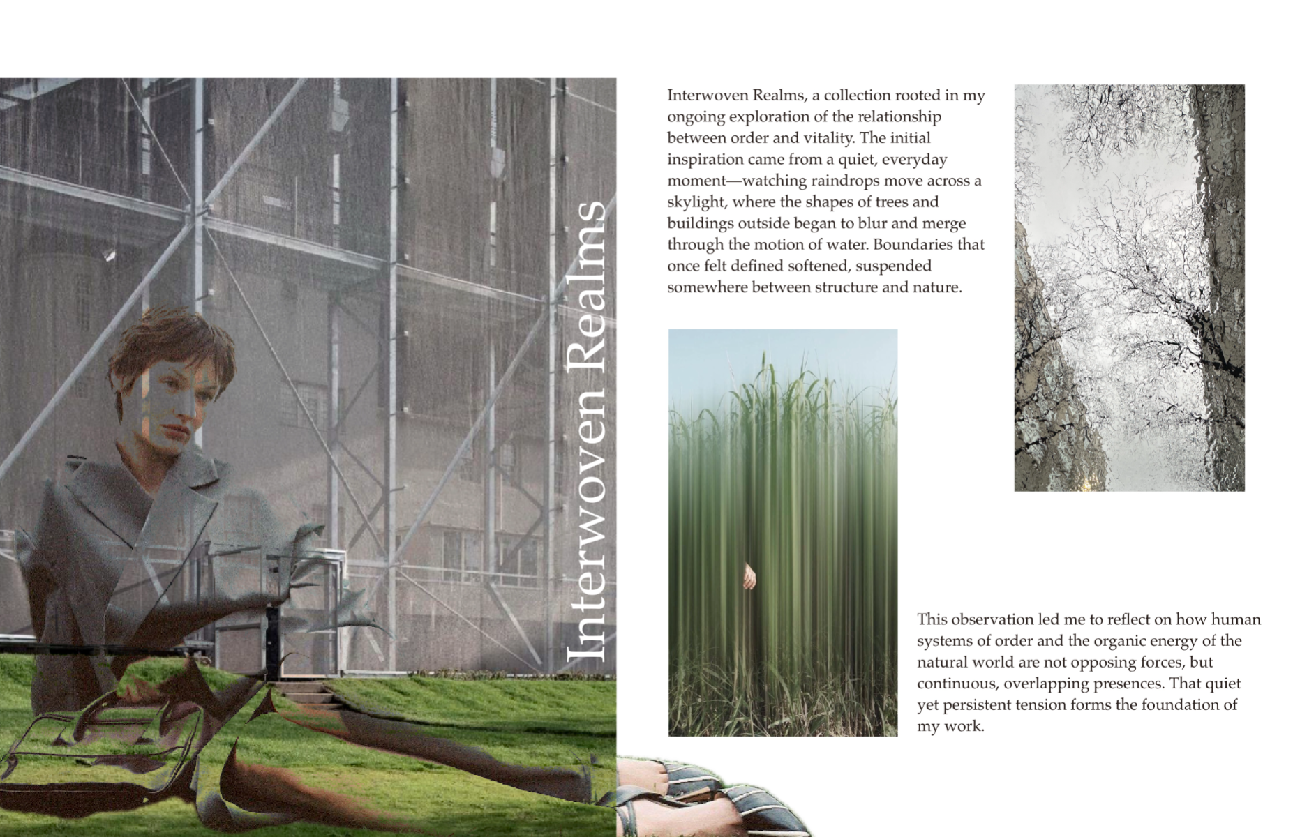 Interwoven realms, portfolio item 2