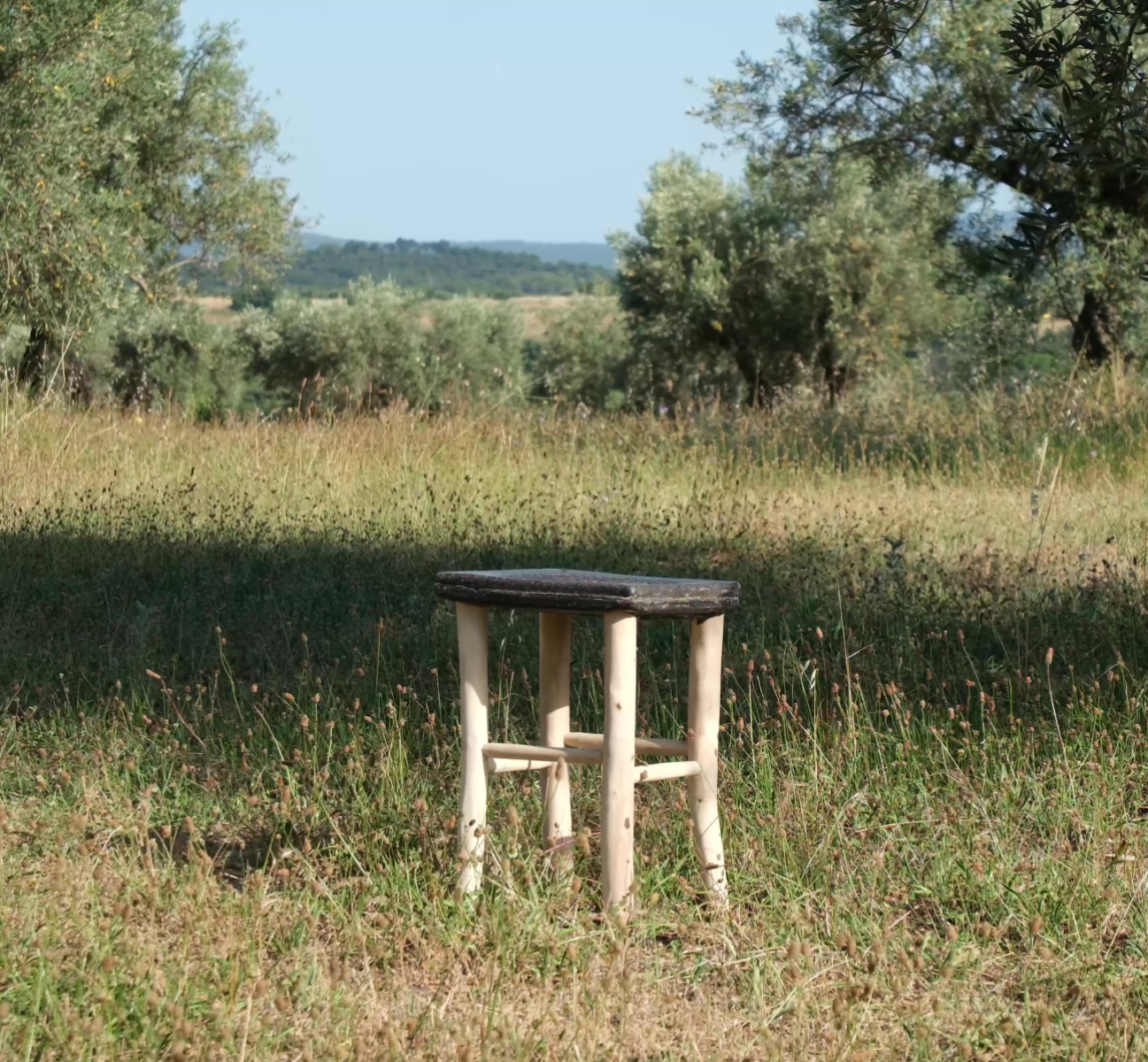 Picual, portfolio item 7