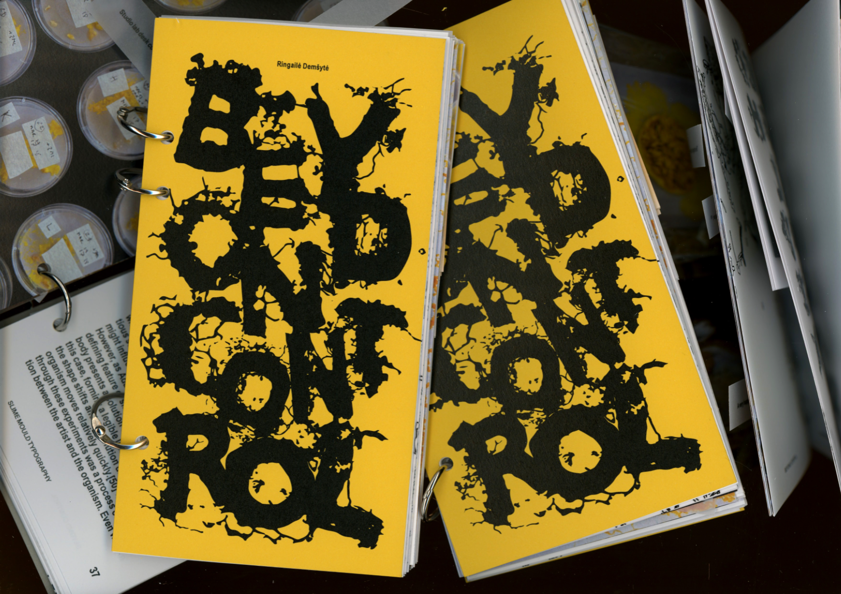 Beyond control, portfolio item 5