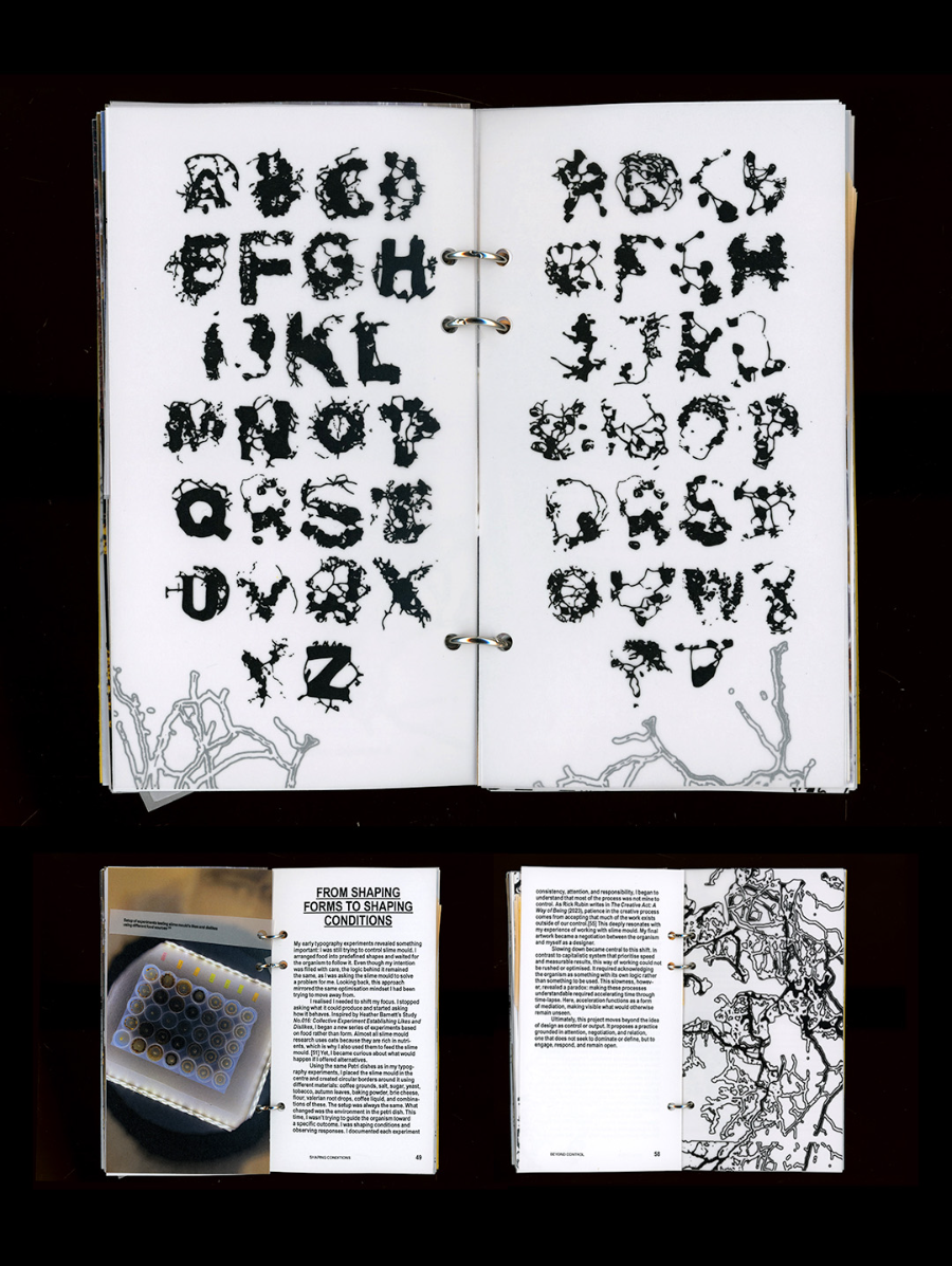Beyond control, portfolio item 6