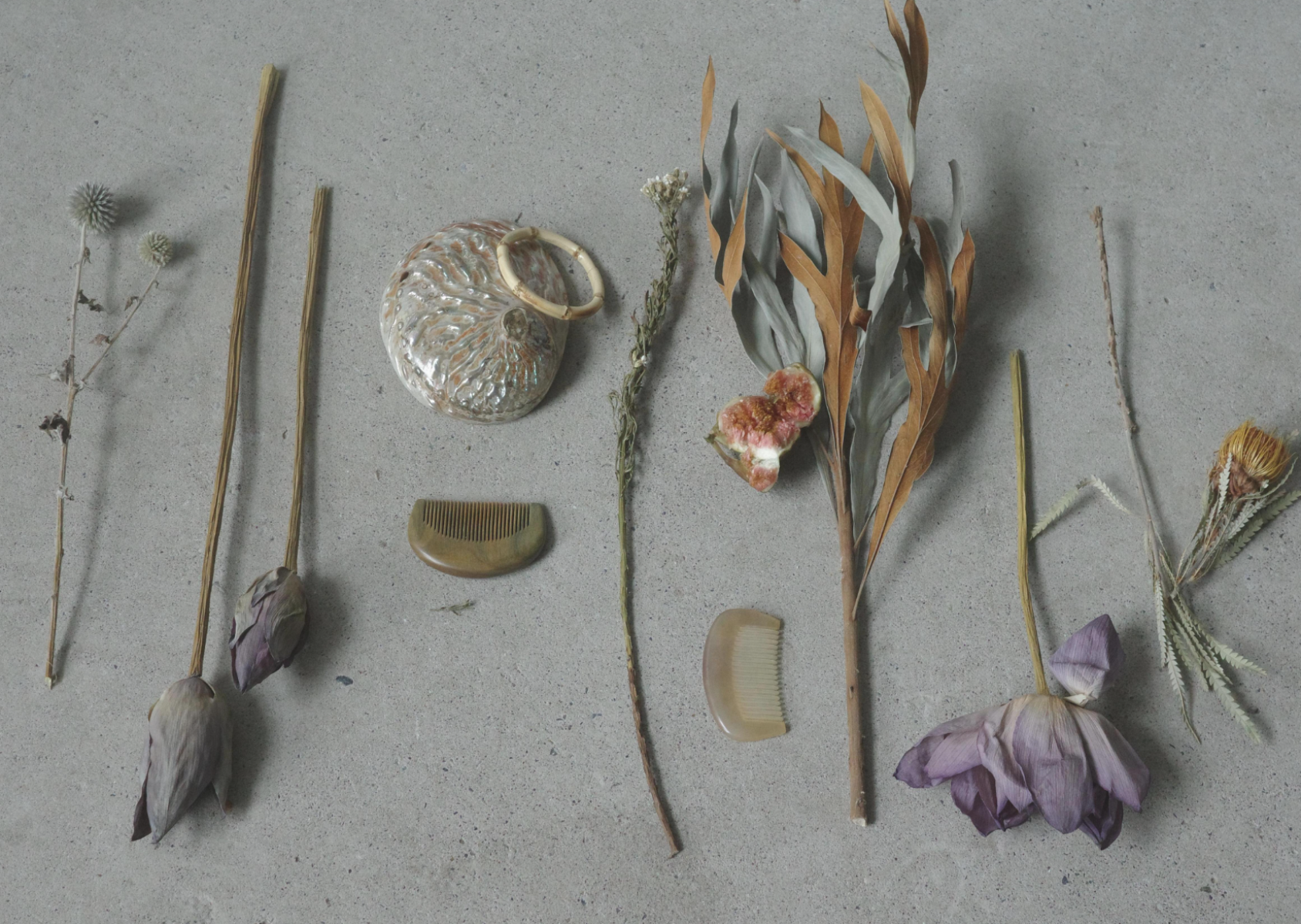 Nurturing Energy in Silence, portfolio item 2