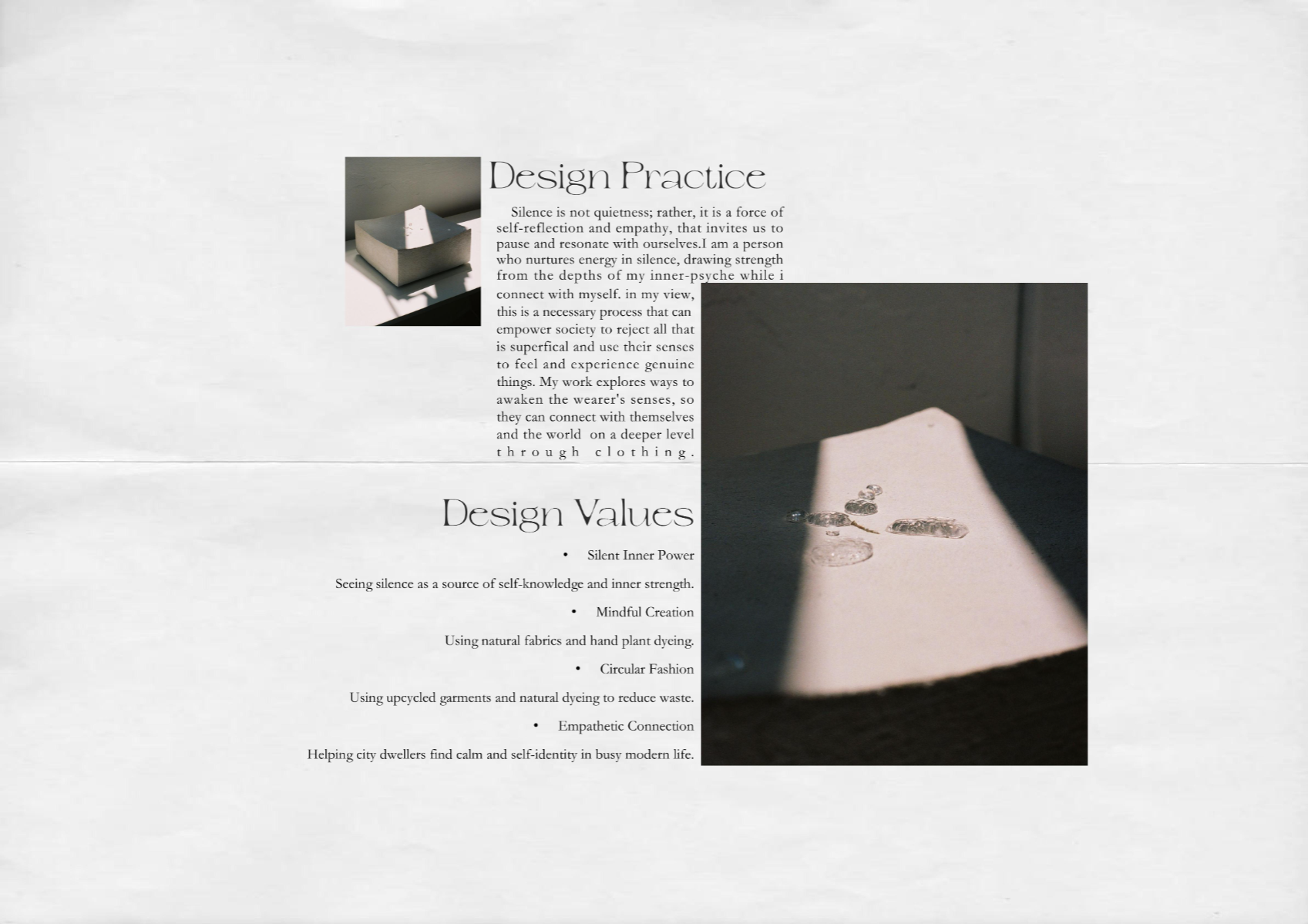 Nurturing Energy in Silence, portfolio item 4