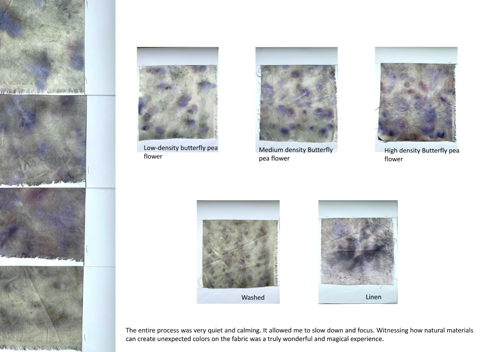 Nurturing Energy in Silence, portfolio item 14