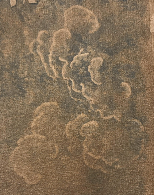 Touched by Mycelium, portfolio item 12