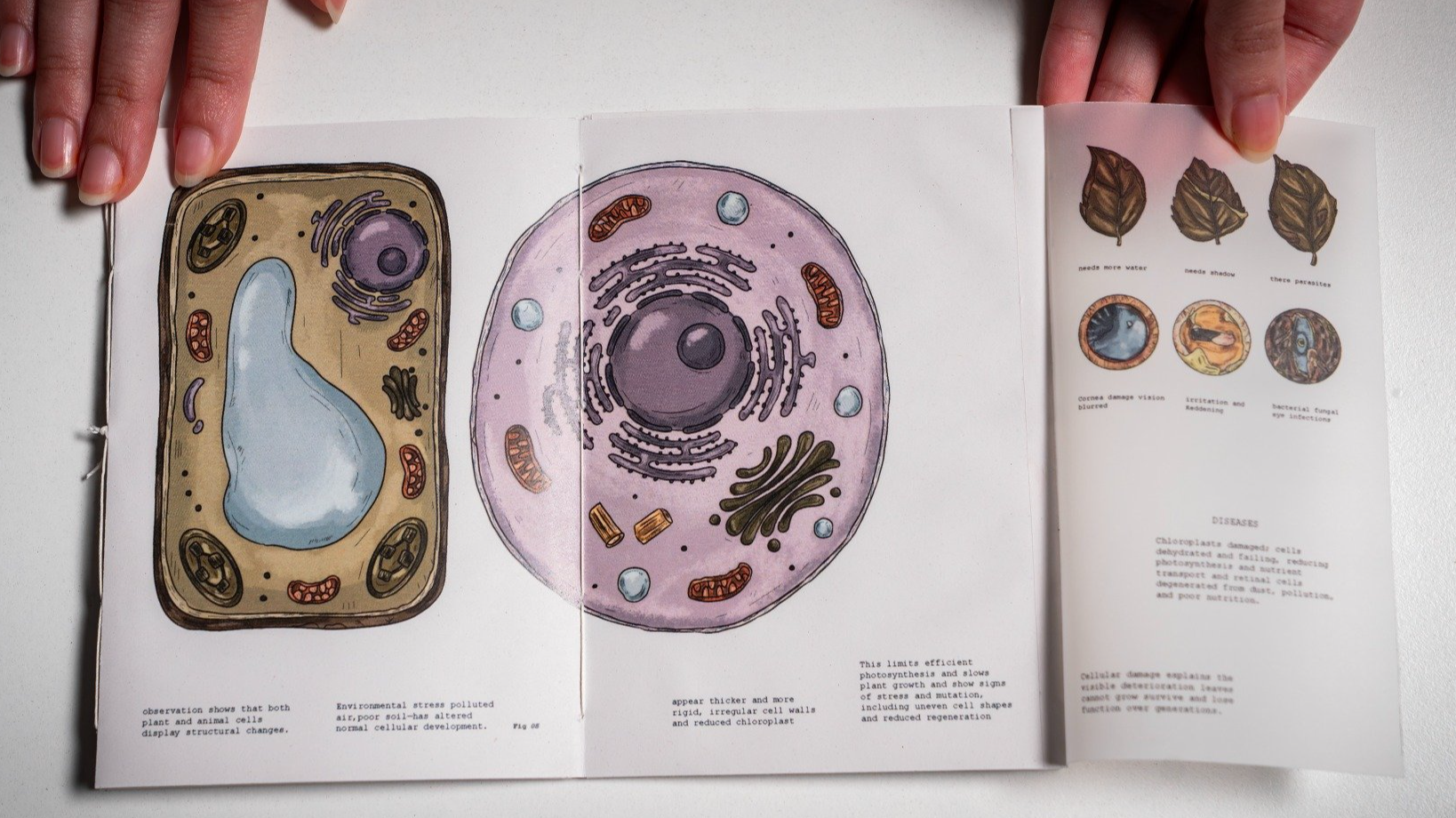 Al-Haif A Speculative Illustrated Journal, portfolio item 14