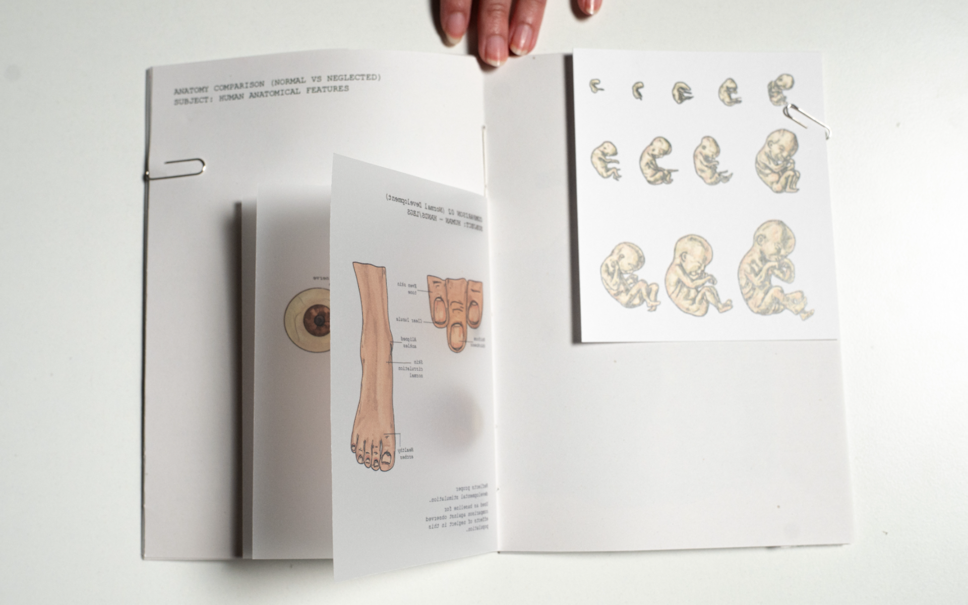 Al-Haif A Speculative Illustrated Journal, portfolio item 11