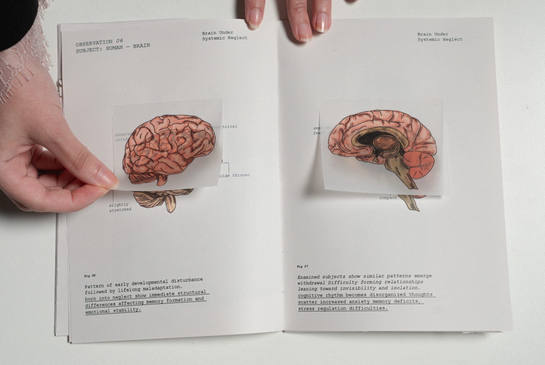 Al-Haif A Speculative Illustrated Journal, portfolio item 10
