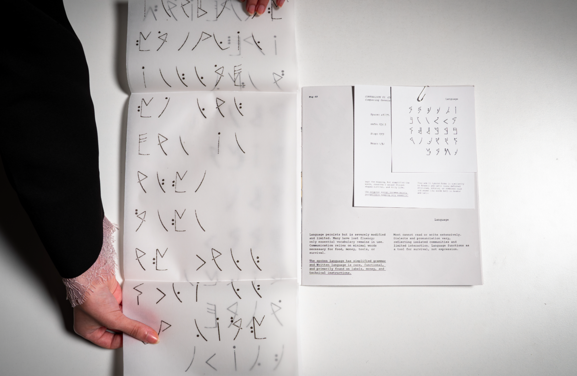 Al-Haif A Speculative Illustrated Journal, portfolio item 7