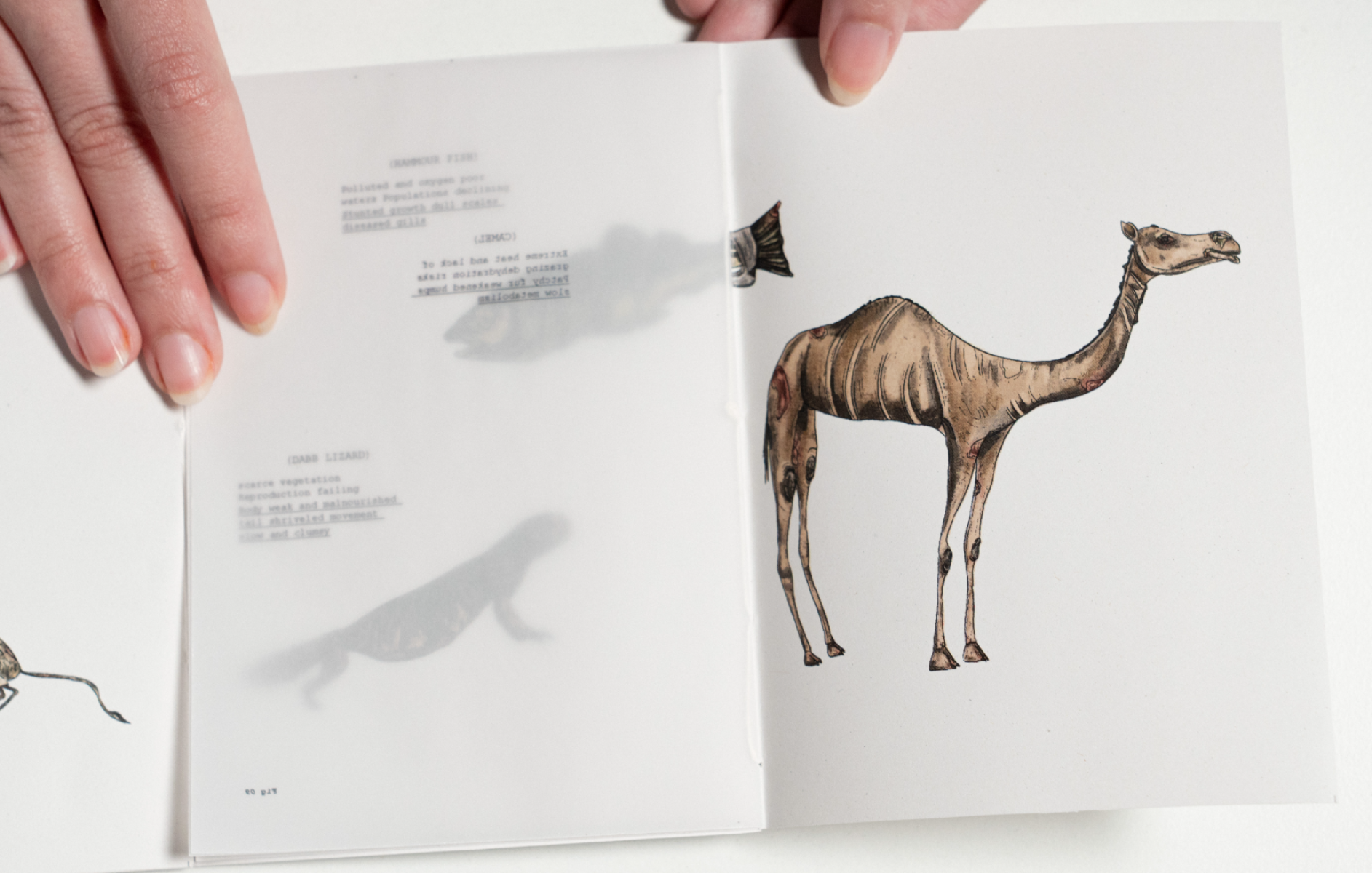 Al-Haif A Speculative Illustrated Journal, portfolio item 6