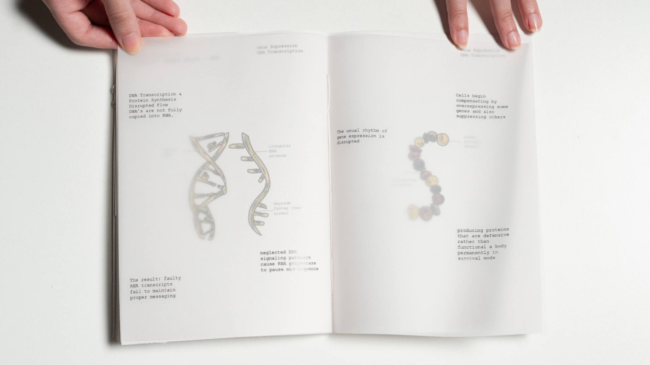 Al-Haif A Speculative Illustrated Journal, portfolio item 5
