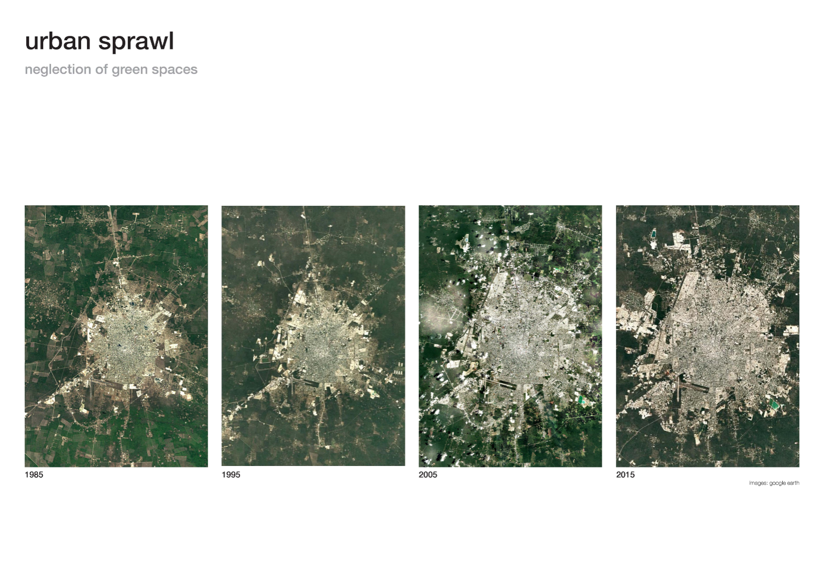 The botanical corridor, portfolio item 4
