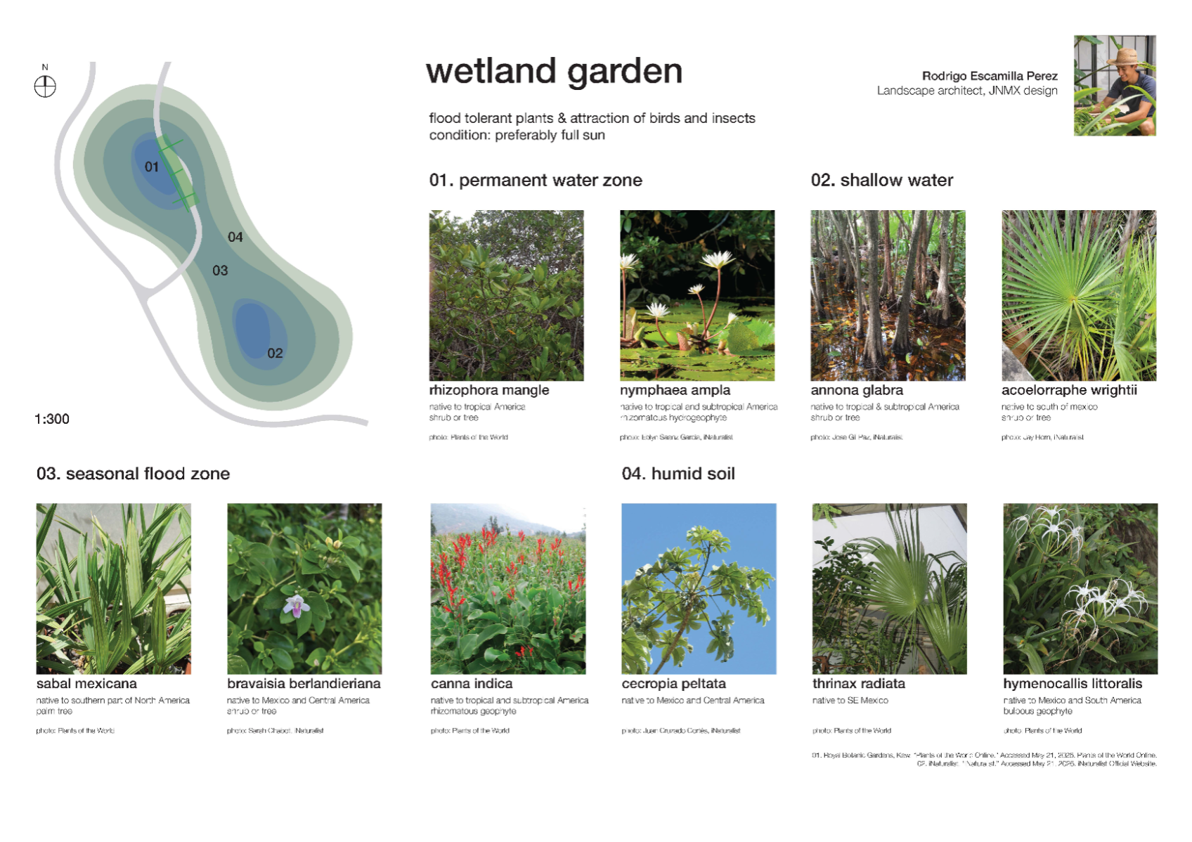 The botanical corridor, portfolio item 19