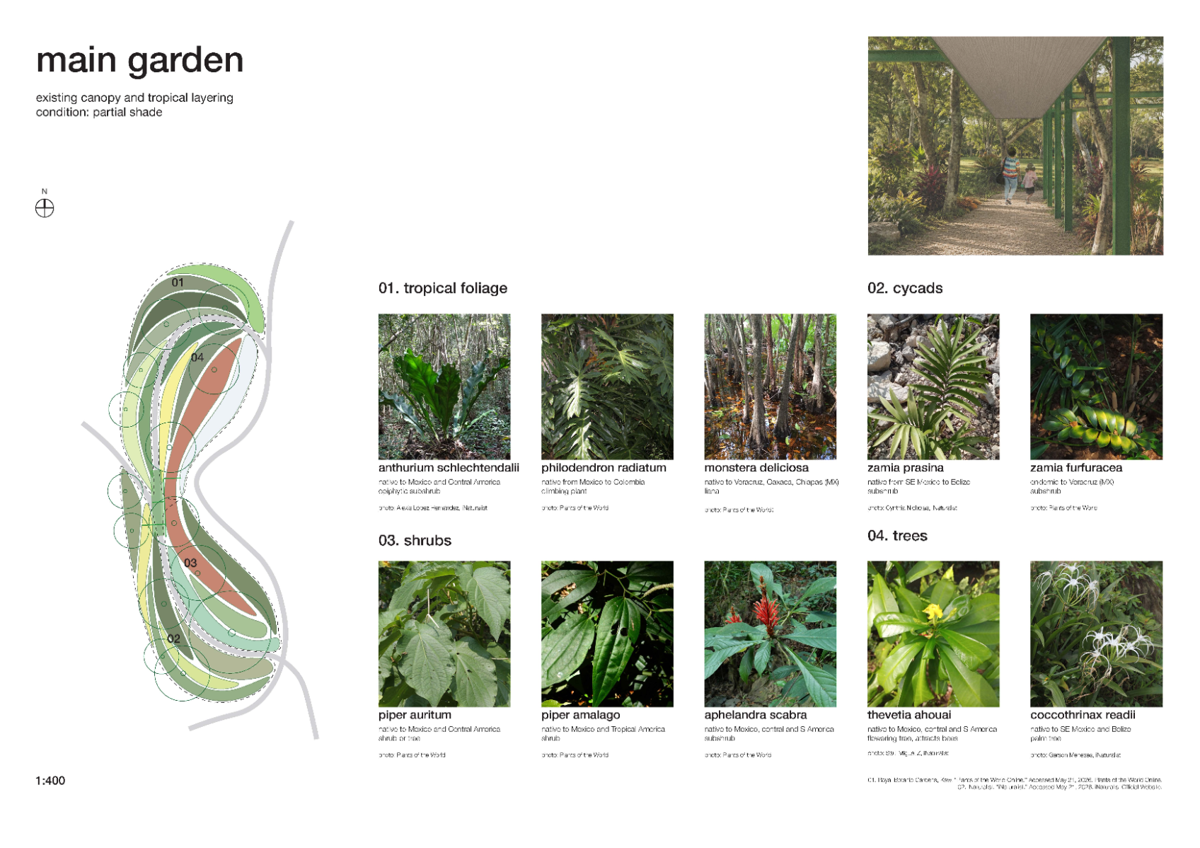 The botanical corridor, portfolio item 29