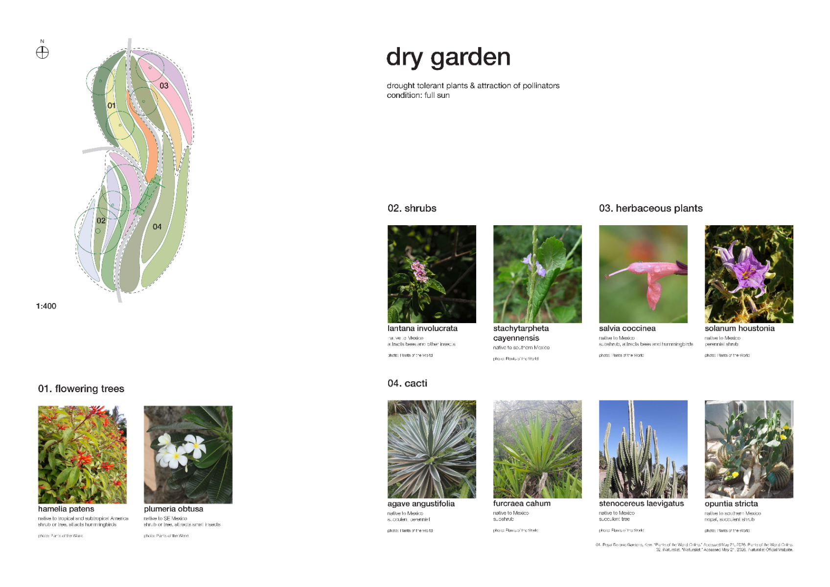 The botanical corridor, portfolio item 31