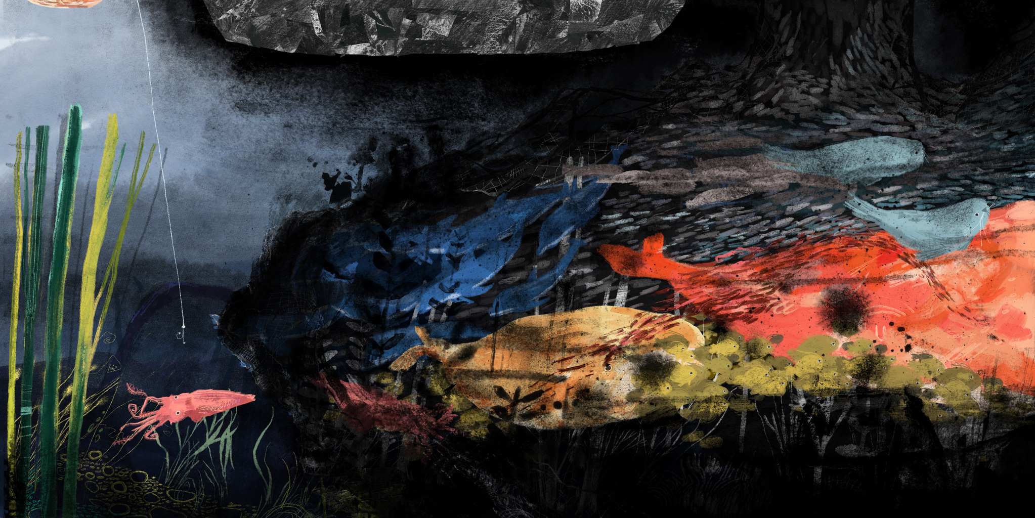 The sea we share, portfolio item 9