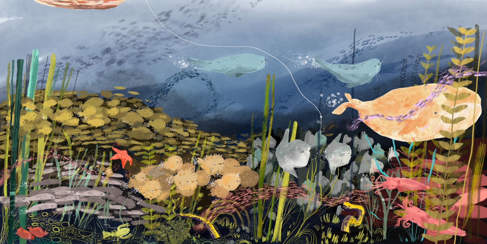 The sea we share, portfolio item 5