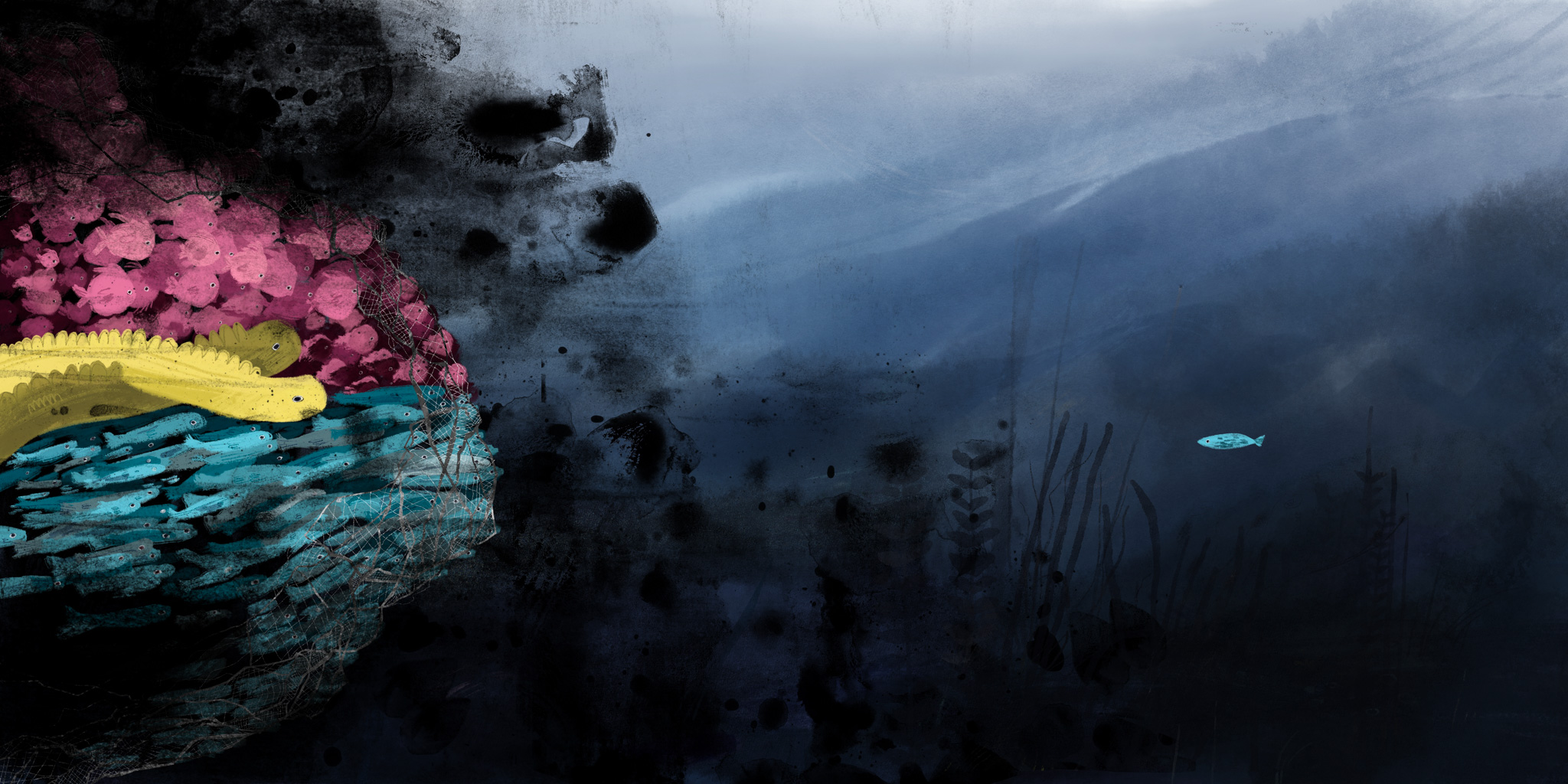 The sea we share, portfolio item 10