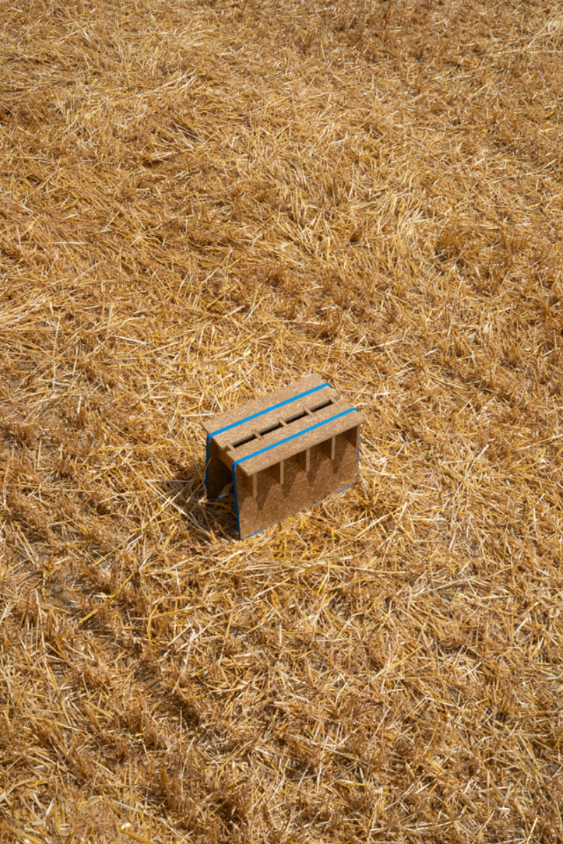 Cultivated Objects., portfolio item 2